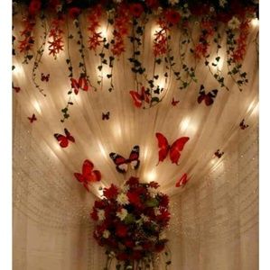 Meet your Posher, Amairani